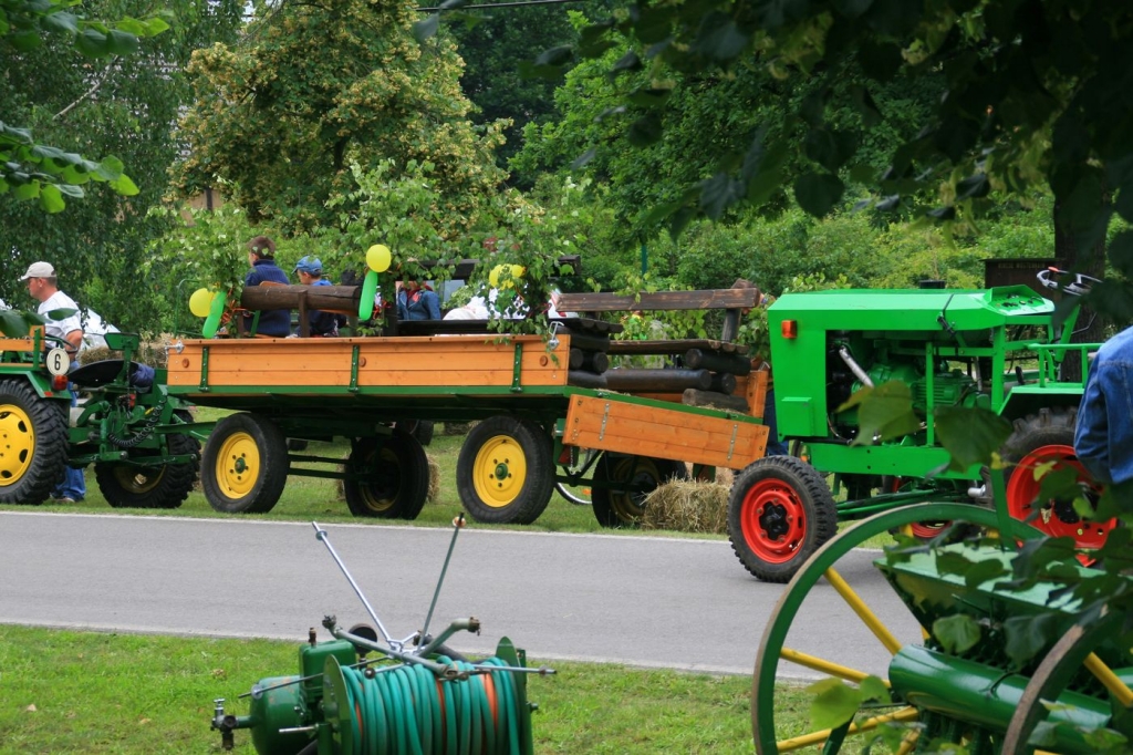 Wüstenhainer Treckertreffen 2009_10.jpg